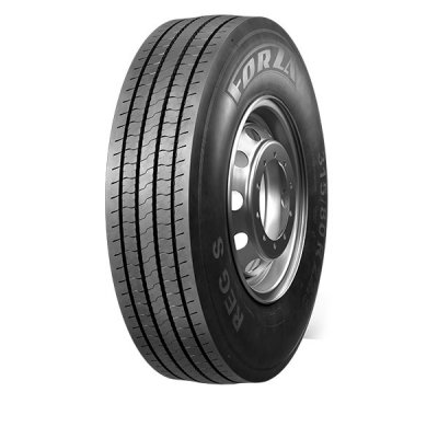 ���� Forza Reg S